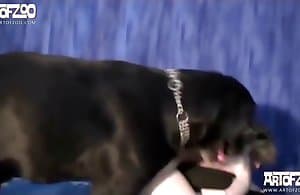 Xem nội dung khiêu dâm động vật hấp dẫn với thú cưng ART